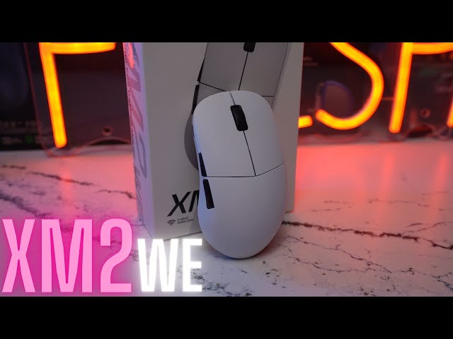 Endgame Gear XM2we Comparison and Review 