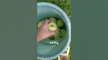 Thumbnail of grow a garden irl 4