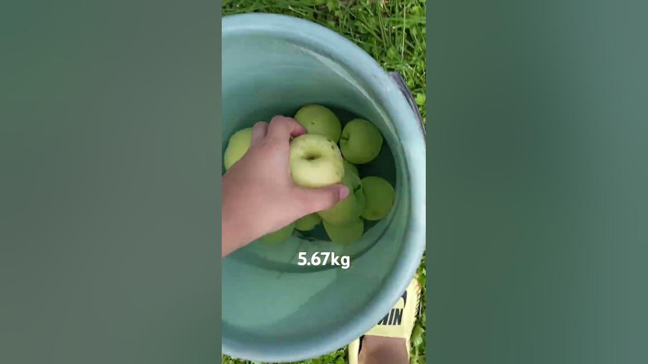grow a garden irl 4