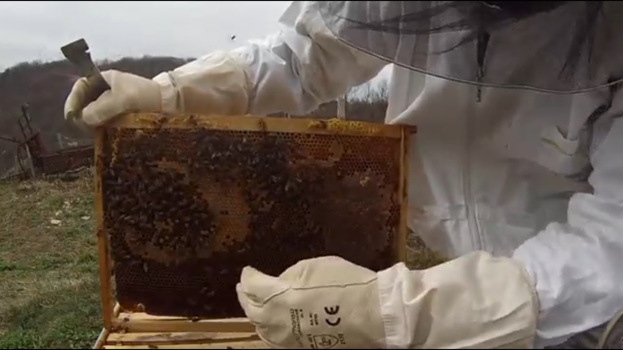 Pčelarstvo 2019 - Rotacija ramova za 180 stepeni