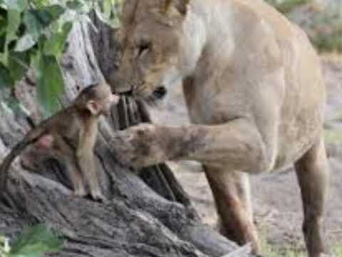 ფიზიკური დაქიმიური მოვლენები