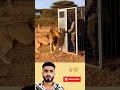 حين تضيق بنا الدنيا يتجلى لطف الله في أضعف الأسباب اكسبلور لايك Allah Allah Dua 