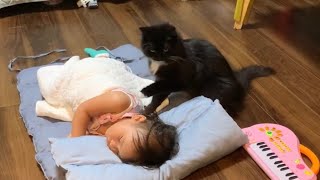 寝ている娘を起こさないかヒヤヒヤさせられる猫　ラガマフィン　Cat trying to wake a sleeping one year old
