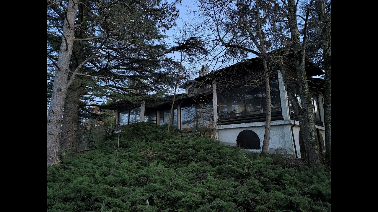 IL B&B IN MEZZO AI PINI - Un luogo surreale nel silenzio della vegetazione