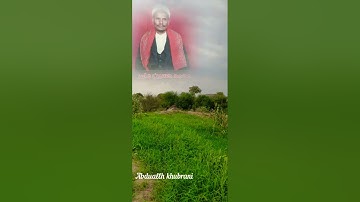 سورة الطارق الشيخ محمد حسين عامر رحمه الله.