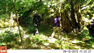 Human and Mountain lion encounter at Patterson-Gimlin Bigfoot film site on Bluff Creek Human and Mountain lion encounter at Patterson-Gimlin Bigfoot film site on Bluff Creek