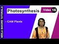 Photosynthesis | NEET | CAM Plants | Neela Bakore Tutorials