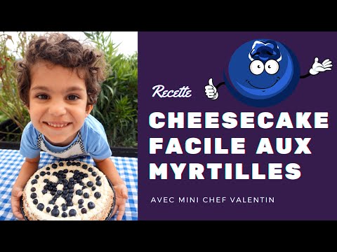 cheesecake-aux-myrtilles-💜