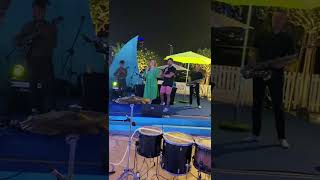 IMG 7126