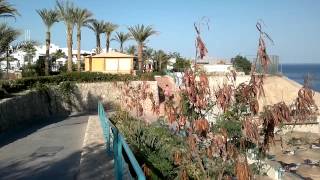 Dessole Royal Rojana Resort 5*  06.2012 Шарм Эль Шейх Египет