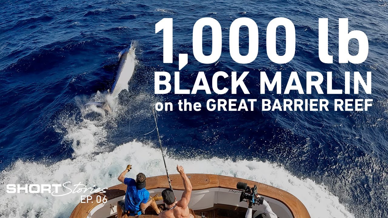 The Catch of a Lifetime  1000lb Black Marlin caught on the Great