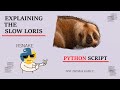 Explaining the slowloris python script - simplified