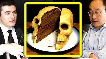 The human mind is a layered cake | Peter Wang and Lex Fridman