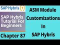 Assisted Service Module - Commerce | SAP Hybris: Assisted Service Module (ASM) | SAP Commerce Cloud