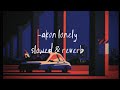 Lonely lyrics -Akon (lyrics)