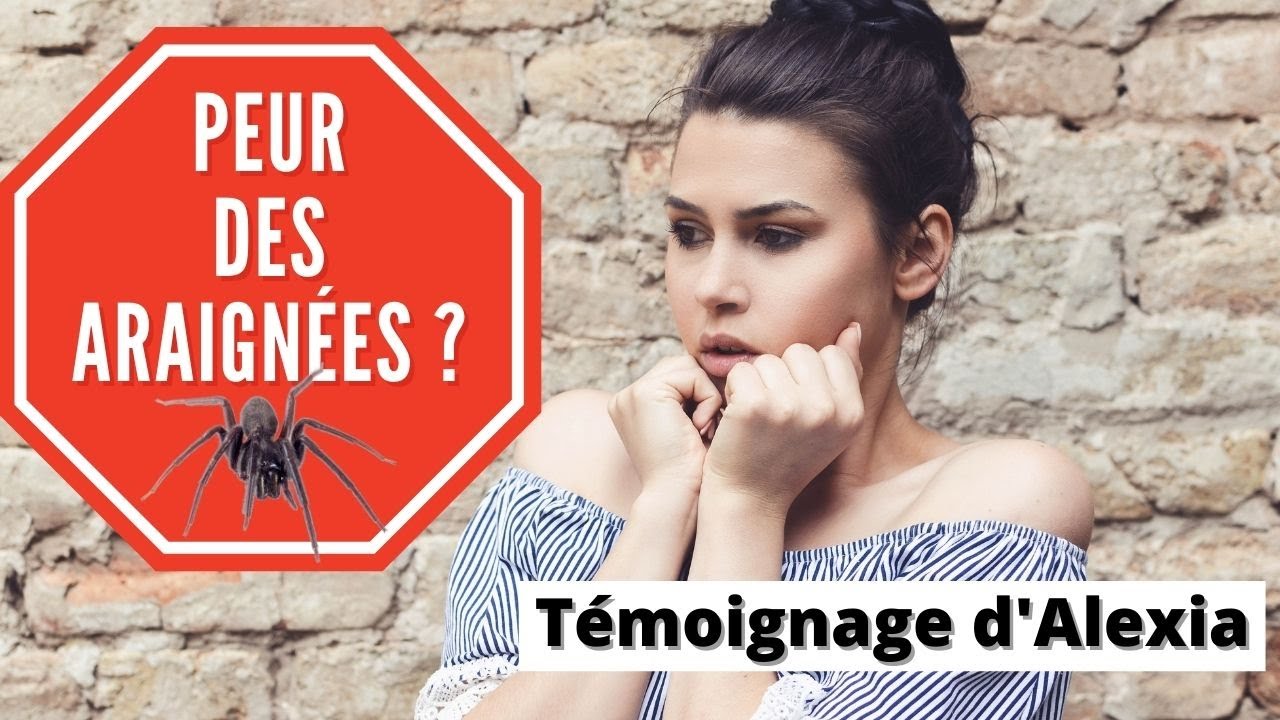Pour ne plus avoir peur des araignées- Arachnophobie - YouTube