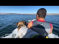 I went jet skiing with a dog?! 😎