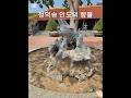 #정의송 #인도의 향불 #베트남 #푸꾸옥 #호국사 #분재