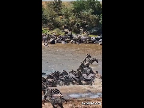 The Famous Mara Crossing
