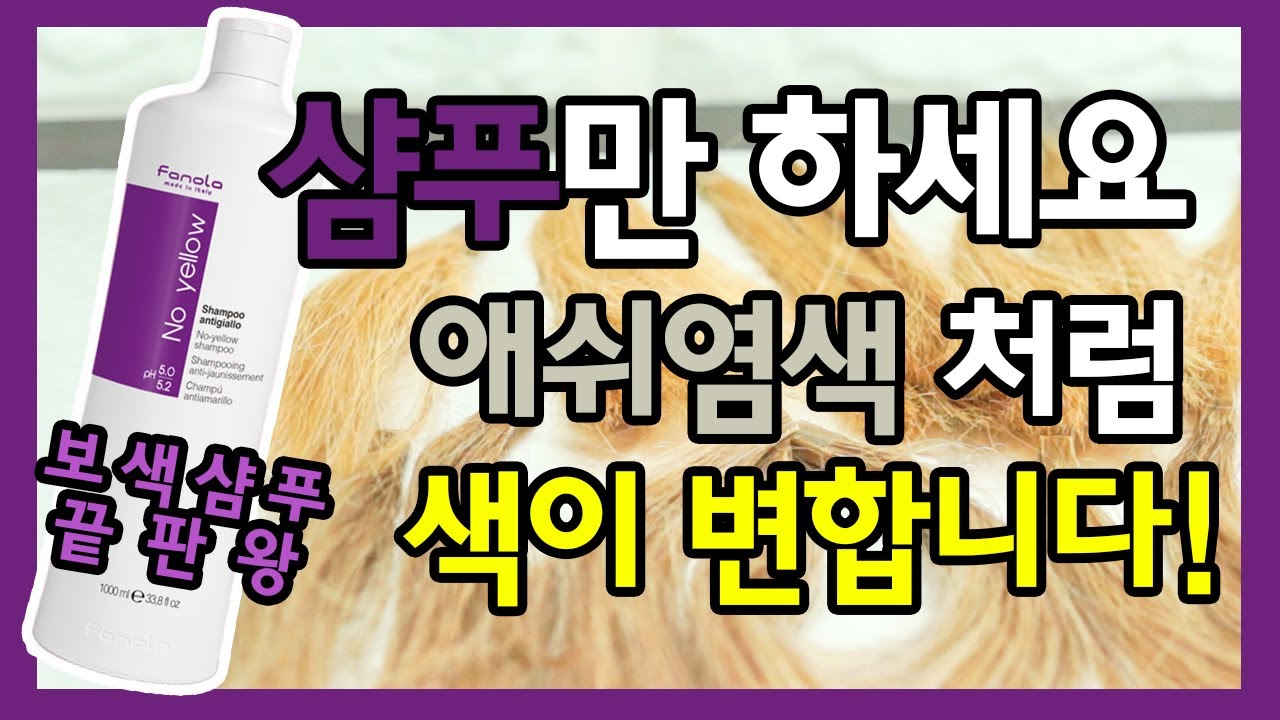 퍼플샴푸 사용법 / 파놀라 노옐로(샴푸염색제) 2차 사용 8