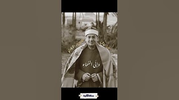 أفلا ينظرون إلى الإبل ـ سورة الغاشية - ياسر الشرقاوي. #quran