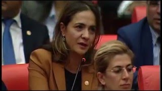 Bingöl Kiğı ilçesinin Afet Bölgesi İlan Edilmesi Teklifim