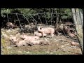 Visite de la Ferme du Rondeau