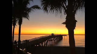 Welcome Back to Fins at Sharky s