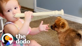 Baby Girl and Puppy Have Jam Sessions | The Dodo Little But Fierce