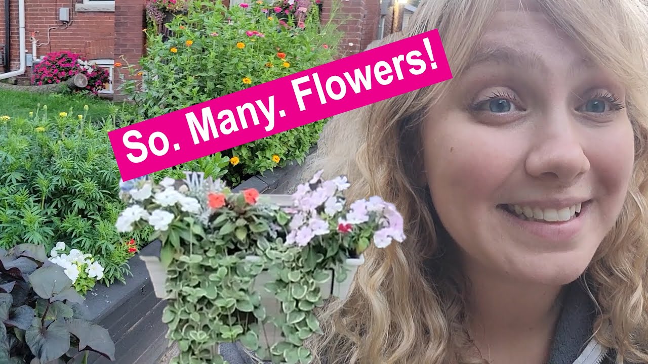 End of Summer Garden Tour Give it a Go Garden YouTube