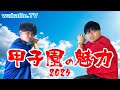 【甲子園】まだ間に合う!甲子園の魅力をふーみんが語ります