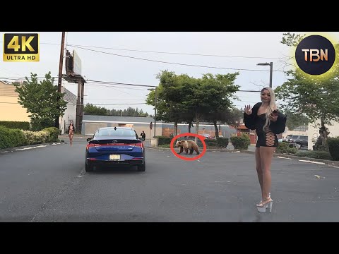 Moments Of Instant Karma Caught On Camera | Best Of The Week #188