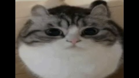 liquid breakout- moonview (hellevan)