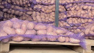 Как мы решаем вопросы с претензиями по качеству картофеля