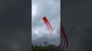 23 meter Giant Octopus Kite.