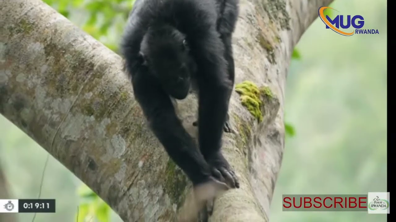 🔴LIVE :AMAGARE AGEZE HUYE UMUNSI WAYO WA GATATU RUSIZI TWAJE