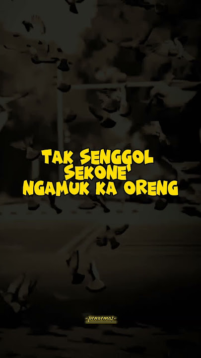 quotes madura by pena emas - KESALAHAN DIRI #quotesmadurabypenaemas #quotesmadurabypenaemas