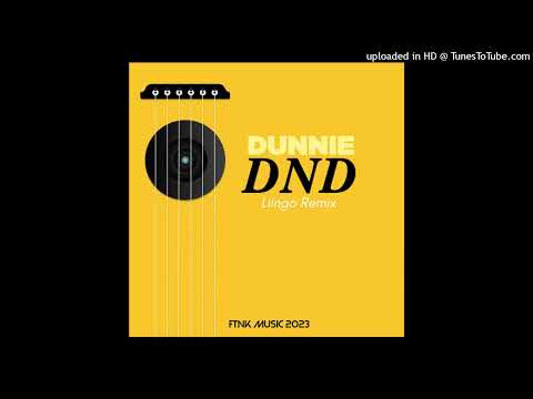 DUNNIE - DND_(Liingo Remix)_FTNK Music 2023