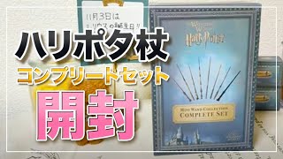 ハリーポッター杖コンプリートセット開封‼︎(チャンネル開設2周年記念ライブ✨)