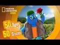 New York State Trivia Questions