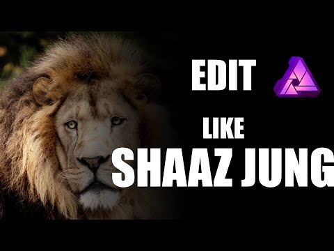 How To Edit Wildlife Photo Like NatGeo Photographer Shaaz Zung In Affinity Photo - An Experiment