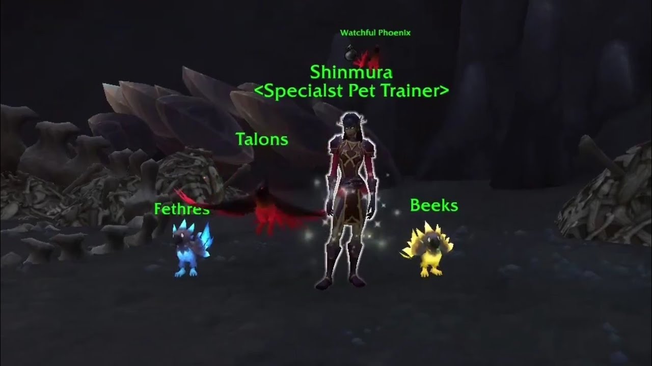 wow shinmura pet battle strategy