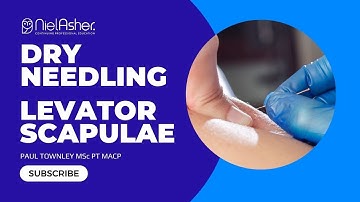 Levator Scapulae - Trigger Point Release