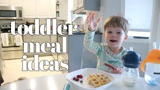 What My 2 Year Old Eats in a Day / Toddler Meal Ideas