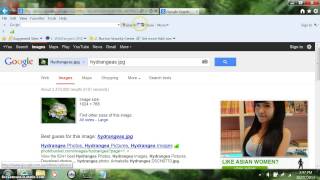 How to put a picture on Google Images