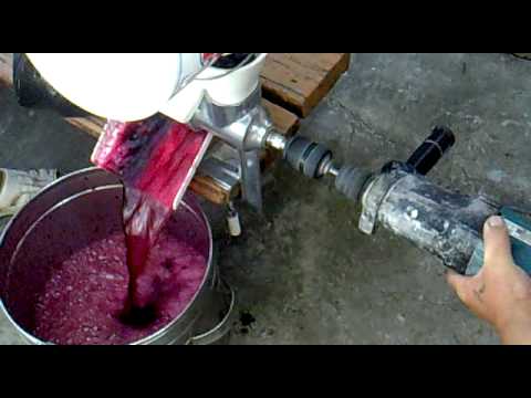 как сделать сок из винограда быстро