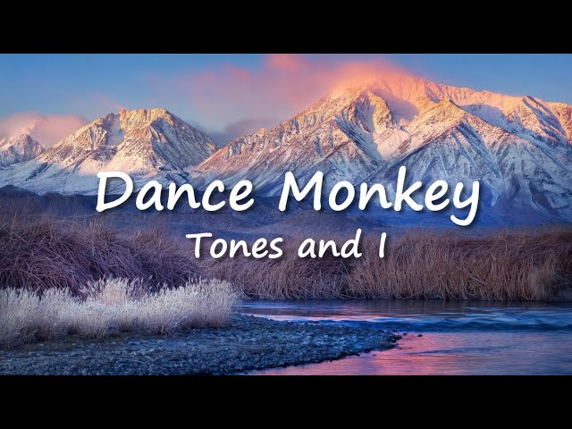 Dance Monkey - Tones and I (lyrics) class=