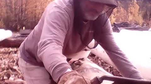 Log peeling in Alaska. Barr Drawknife.