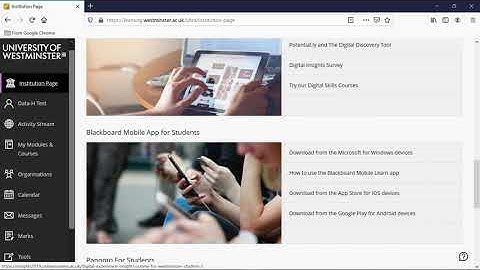 Blackboard Base Navigation