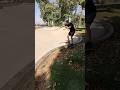 LONGEST CURVIEST BOARDSLIDE   #skateboarding #skating #skateparks #curbs #curbdad #boardslide